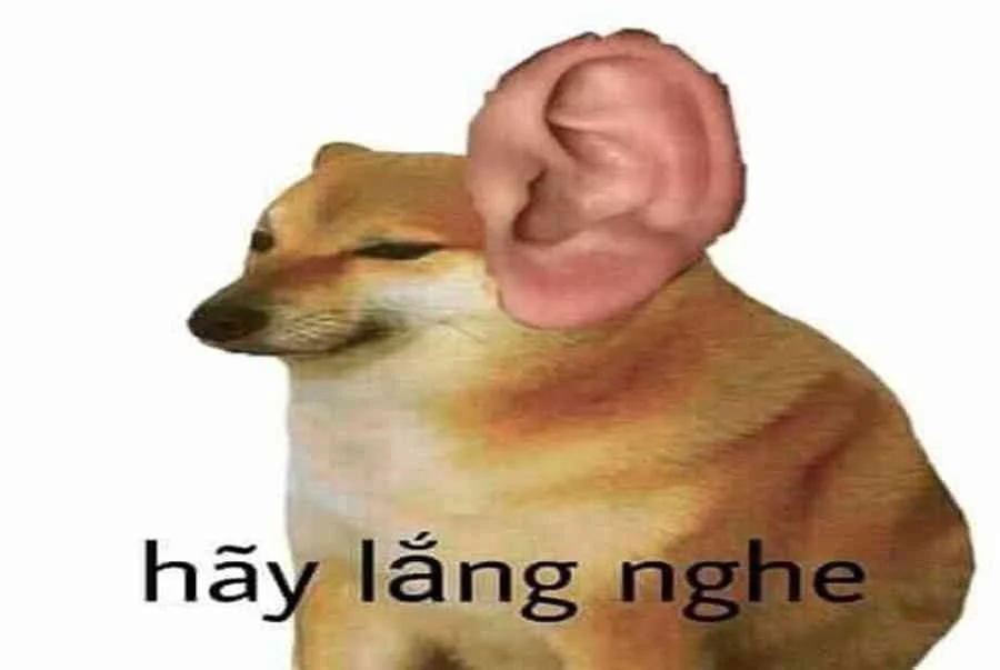 Bộ ảnh ảnh hài bựa, tấm 8