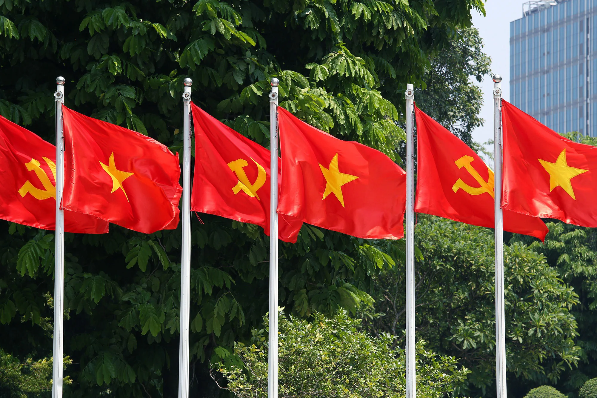 anh hang co do sao vang va co dang treo deu nhau