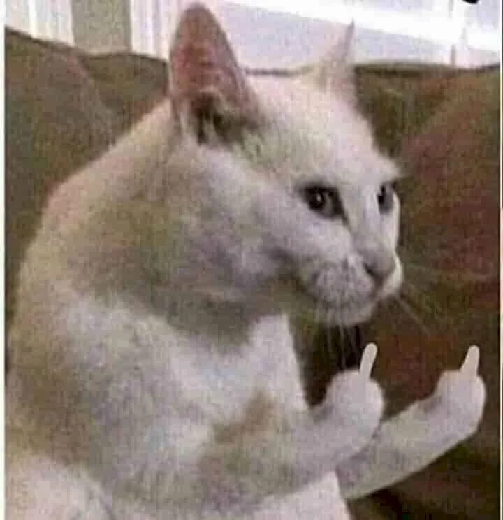 Tải ngay ảnh meme ngón giữa độc đáo và hài hước hiện nay (4)