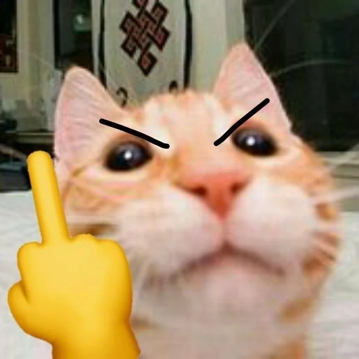 Xả stress cực mạnh với 219+ meme mèo giơ ngón giữa bá đạo