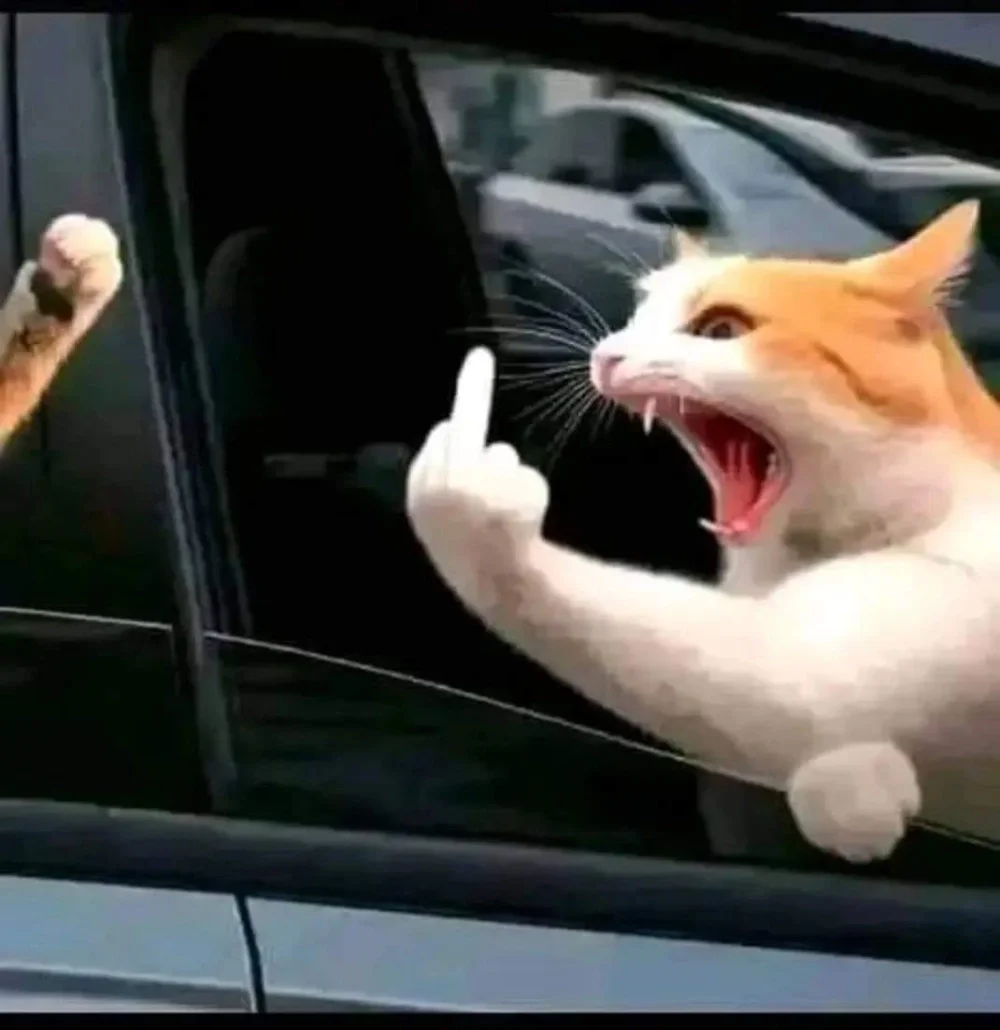 Tải ngay ảnh meme ngón giữa độc đáo và hài hước hiện nay