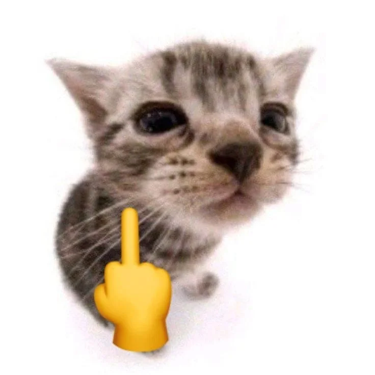 Tải ngay ảnh meme ngón giữa độc đáo và hài hước hiện nay (3)