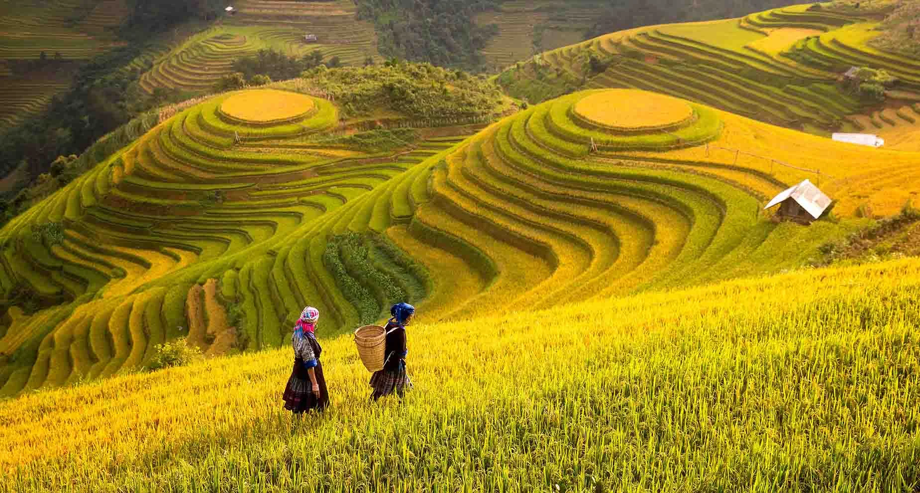 Tranh sơn dầu lập thể chân dung phụ nữ đội mũ