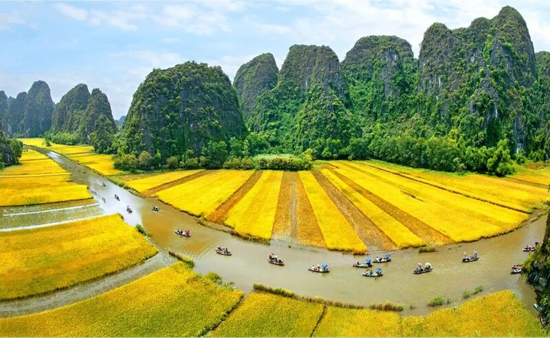 15 cảnh đẹp Việt Nam khiến du khách say mê khi ghé thăm
