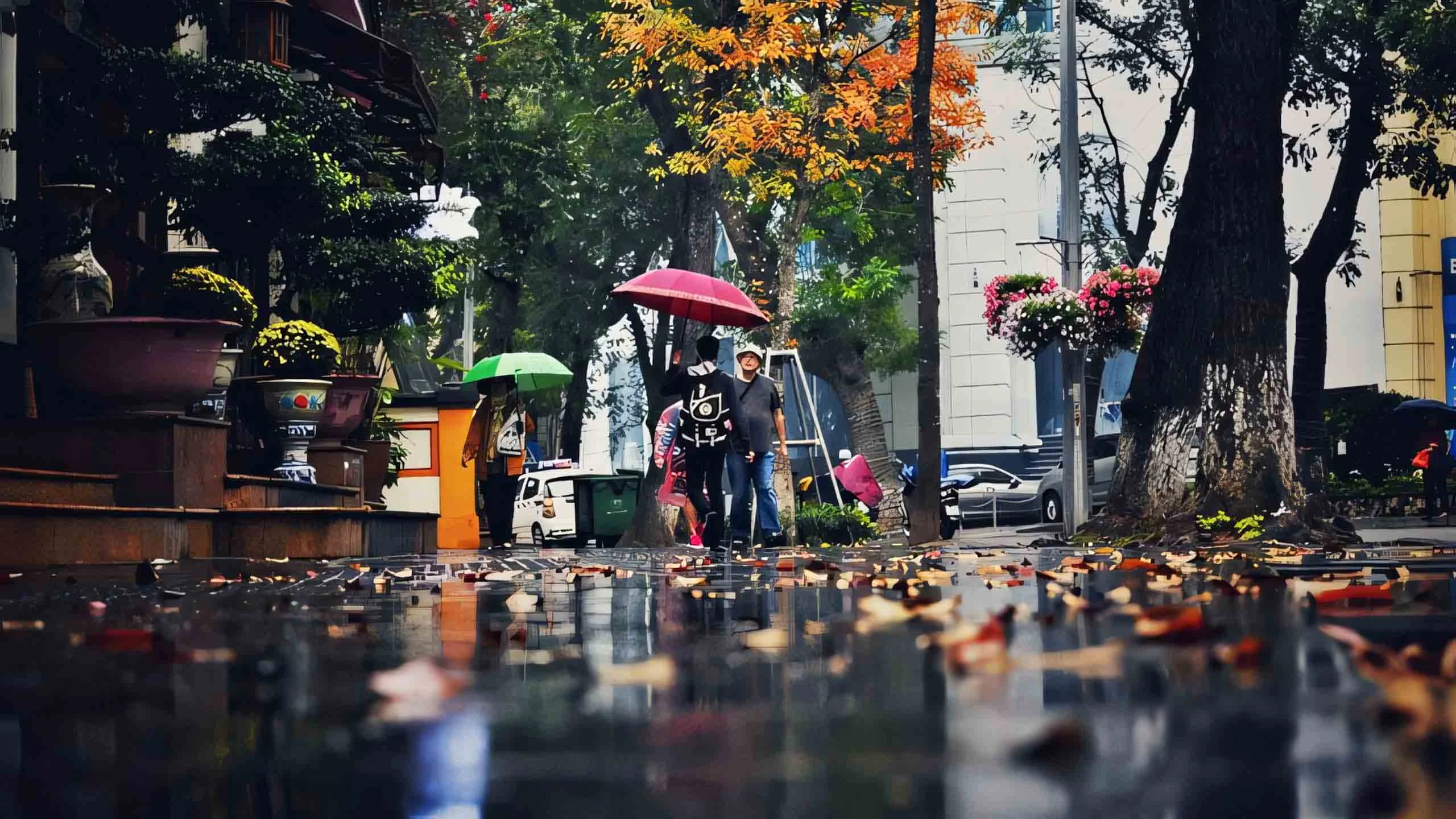 Đường phố mưa mang lại vẻ đẹp hoài niệm của thành phố