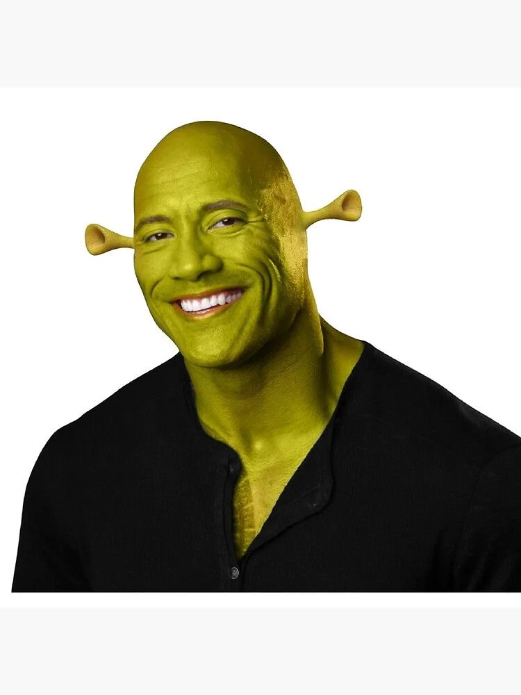 the rock meme (4)