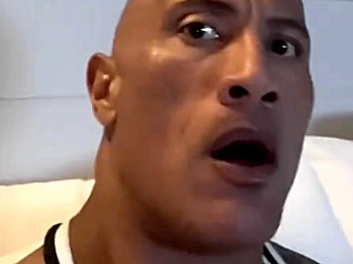 the rock meme (2)